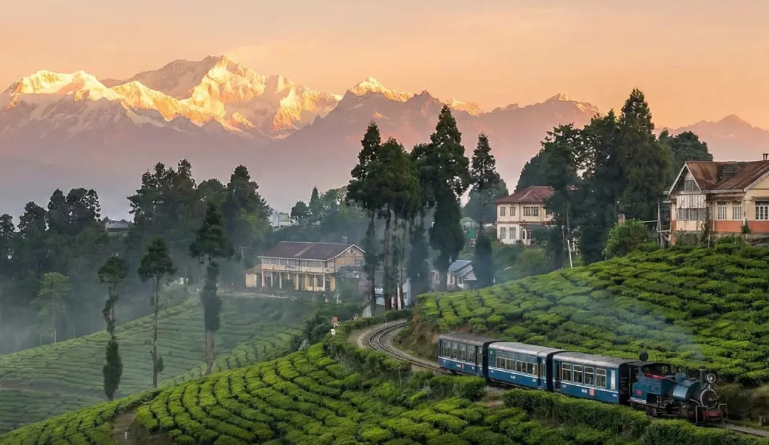 Darjeeling Hill Tour