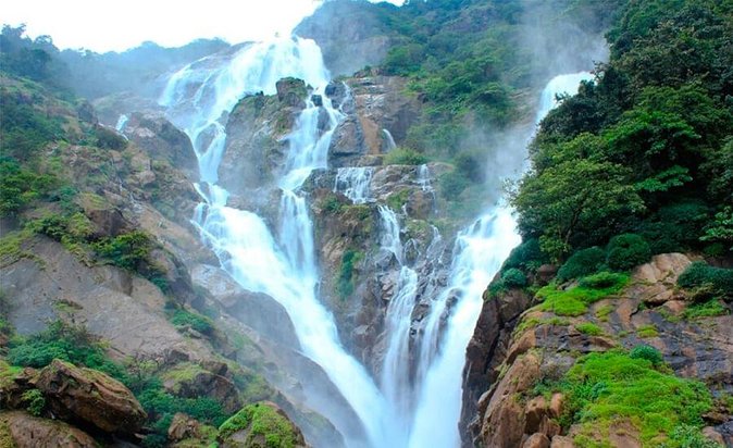 Dudhsagar Waterfall &amp; Spice Plantation Trip
