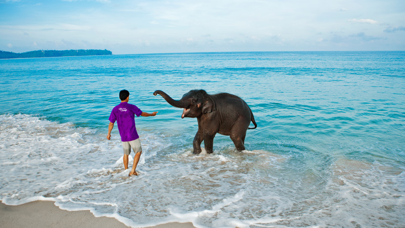 Elephant Beach Water Sports, Havelock