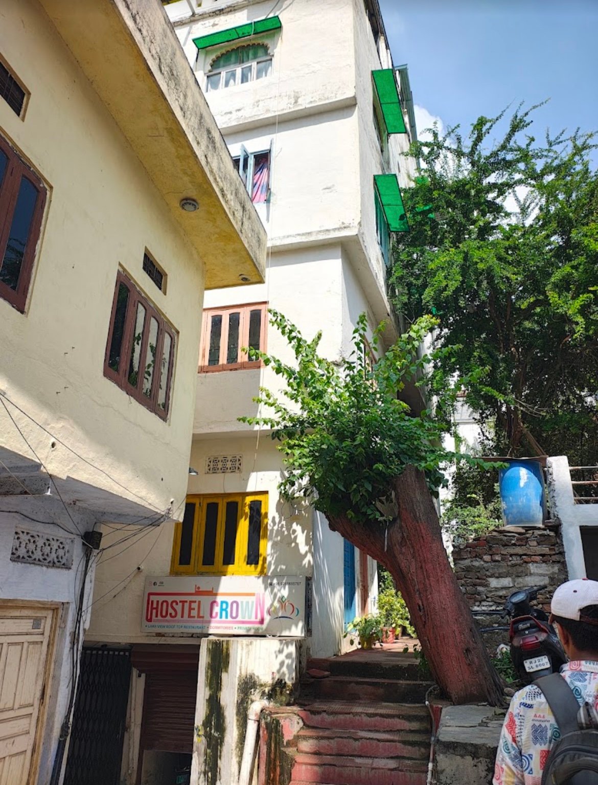The Hostel Crown Udaipur