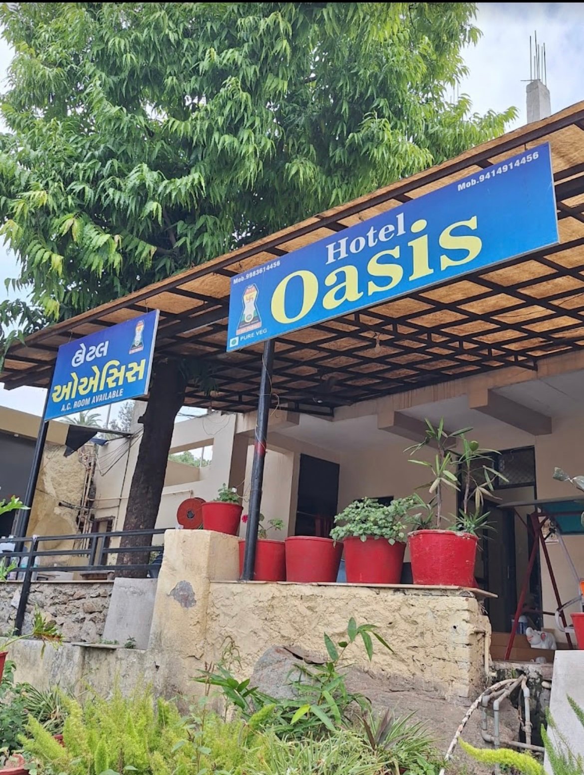 Hotel Oasis