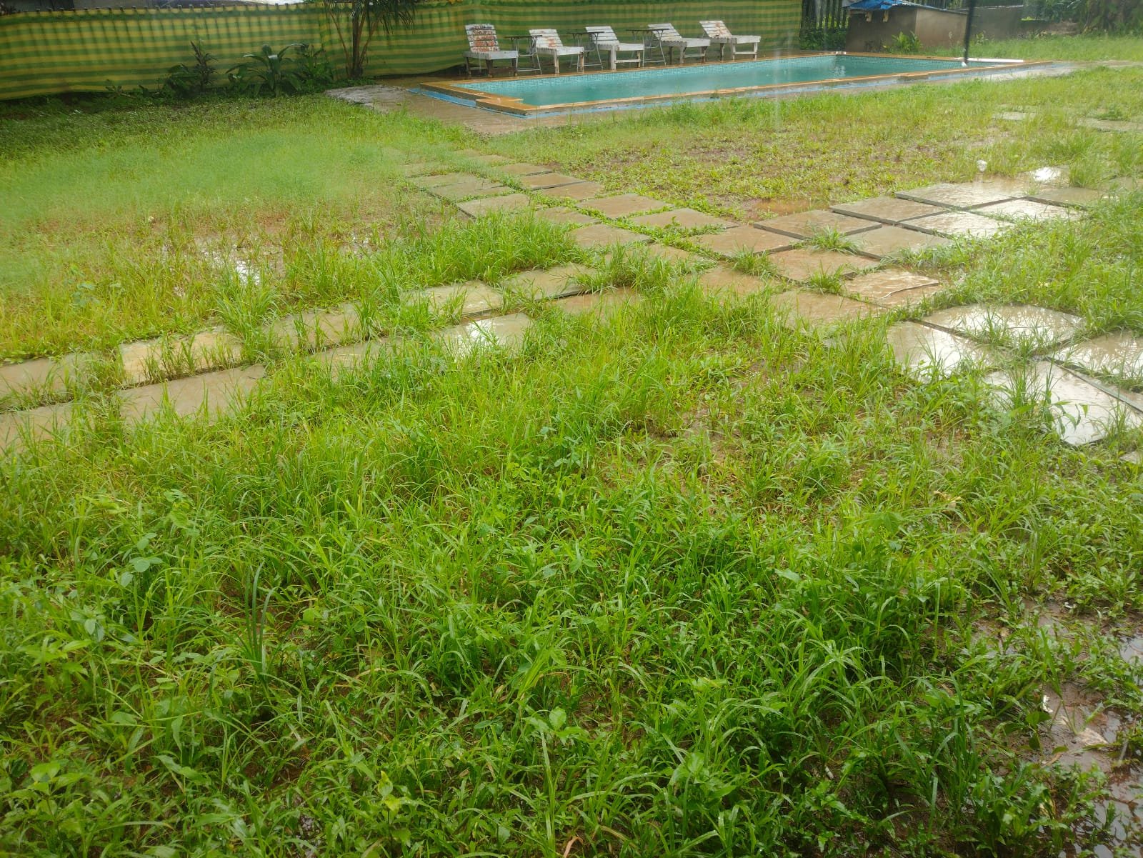 6bhk private pool Villa in Nagoa - photo 14