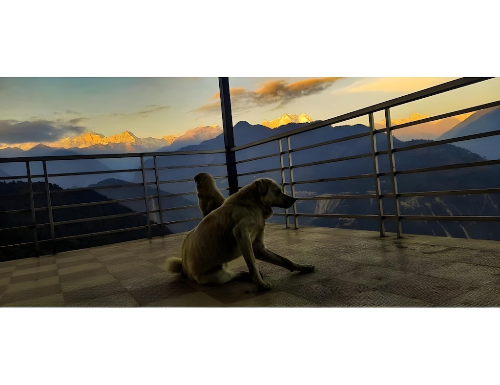 Raibaar resort Guptkashi