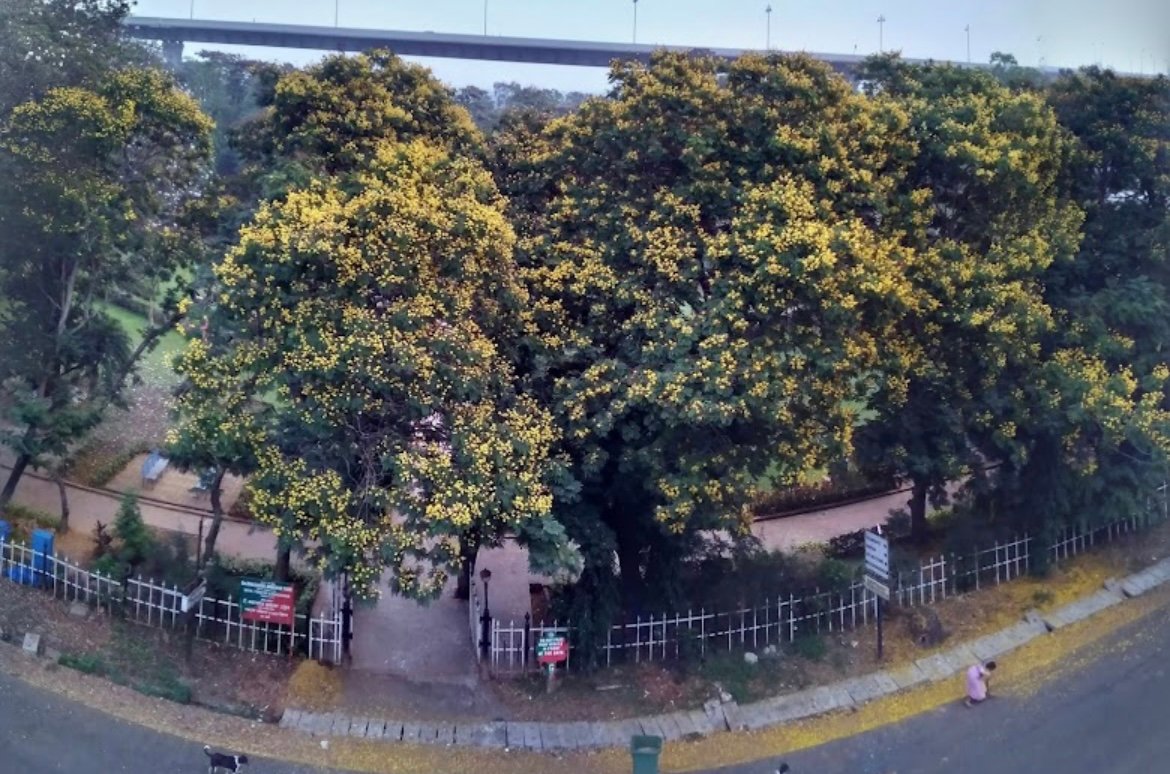 Viva Guest House