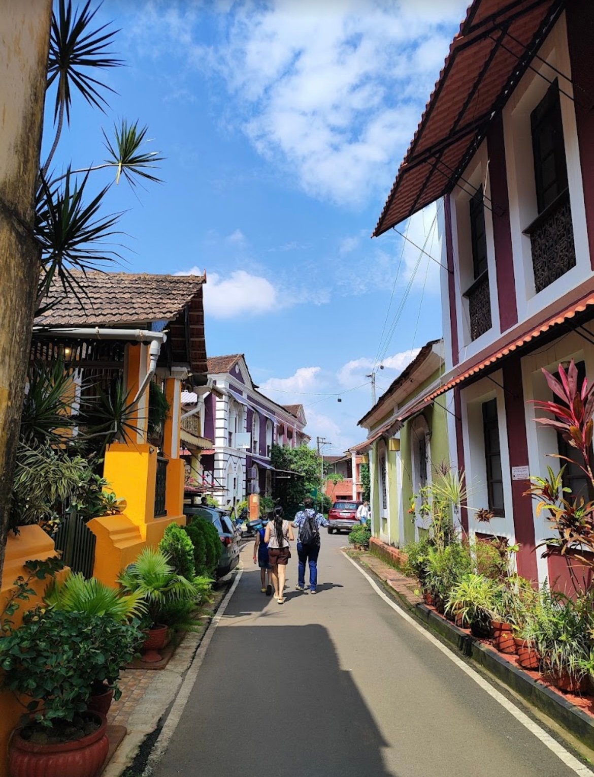 Hotel Manvin's, Panjim, Goa in Panaji, Goa 403001 - photo 12