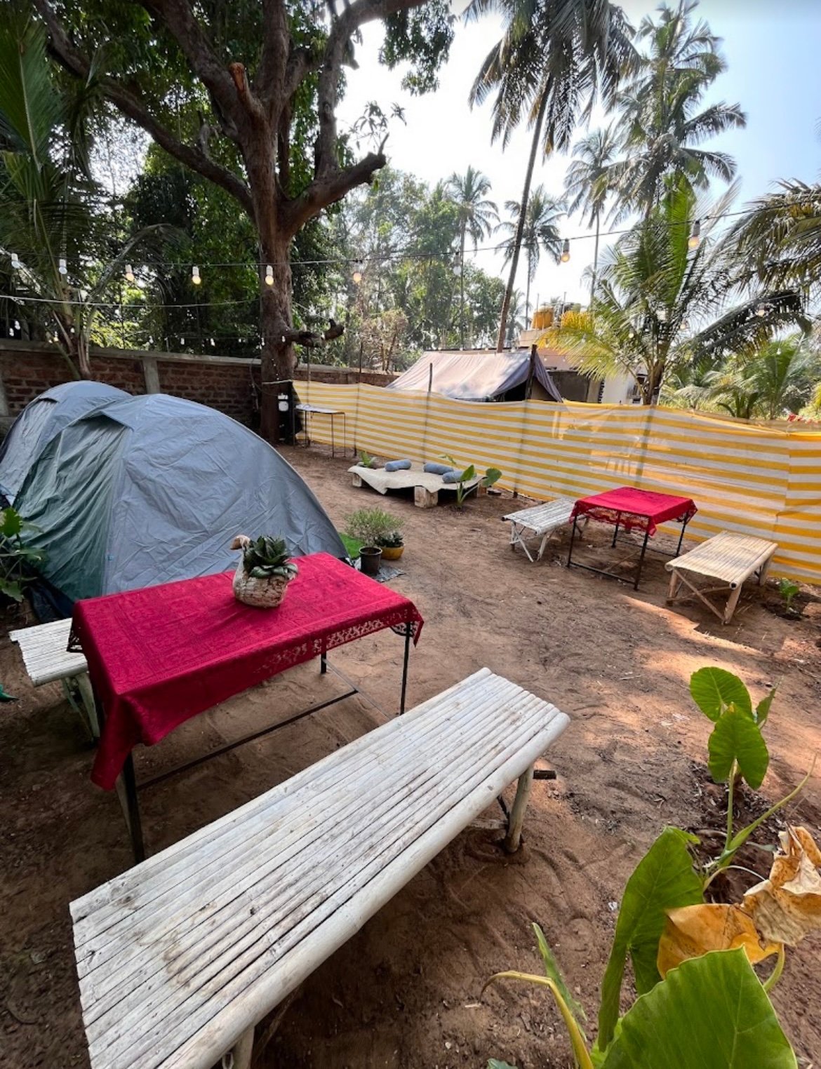 Coco inn goa Home stay