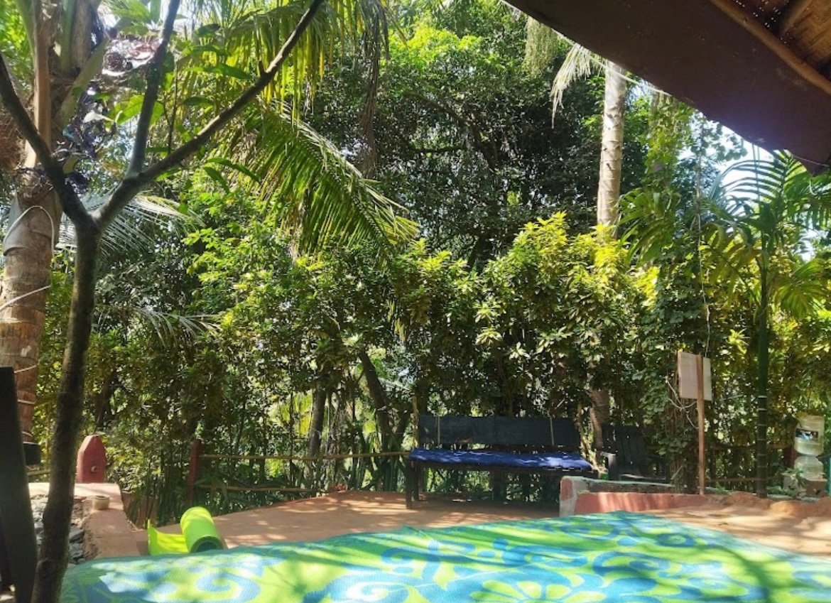 Jomo Hostel Bar & Cafe Arambol