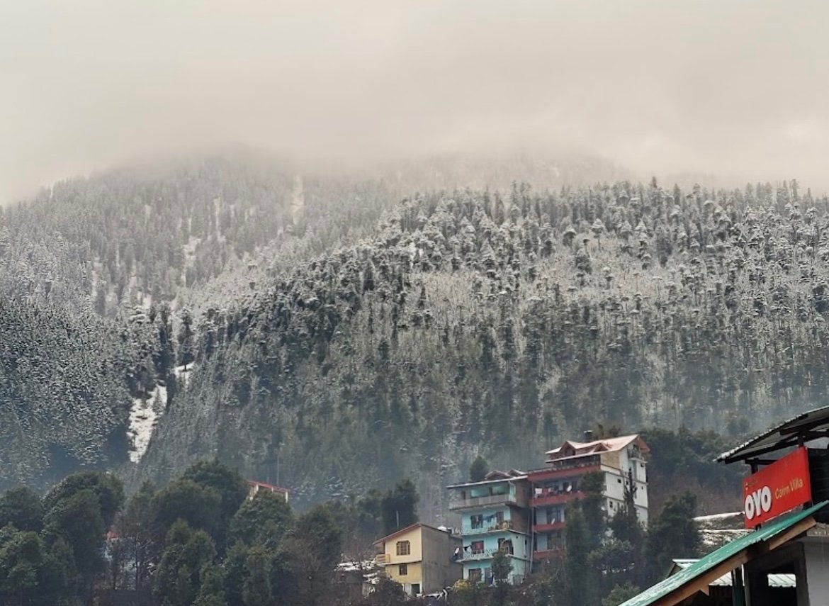 Hotel Manali - A Boutique Hotel in Siyal, Manali, Himachal Pradesh 175131 - photo 13