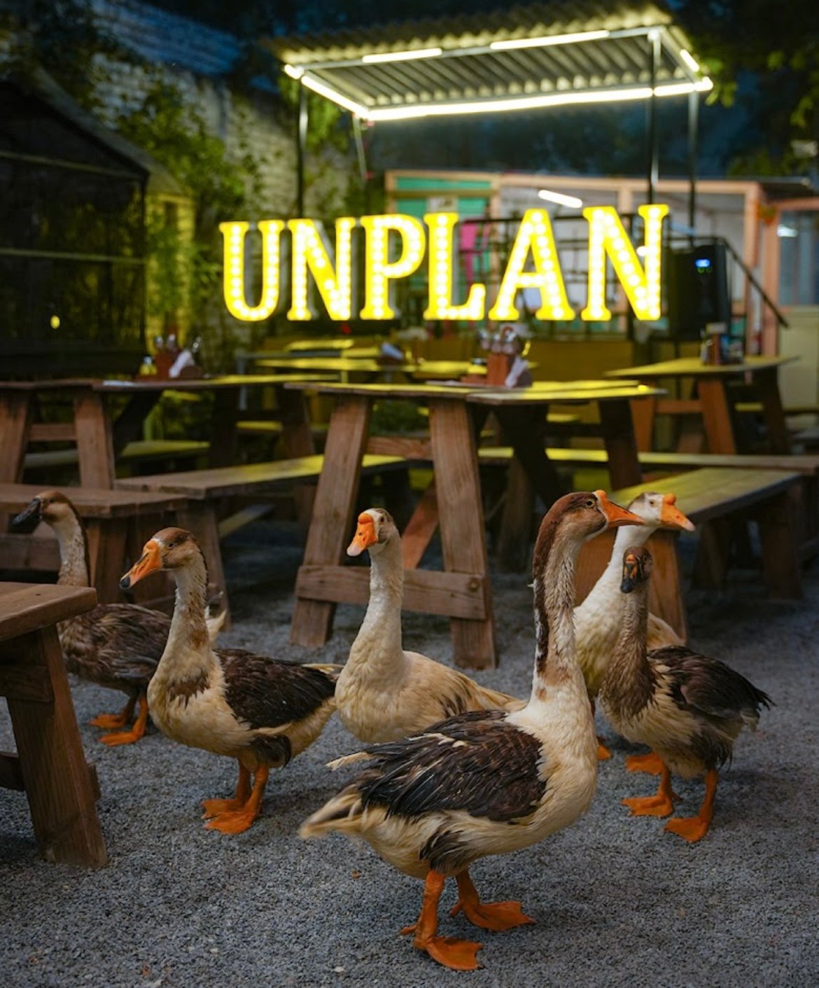Unplan - by the lake