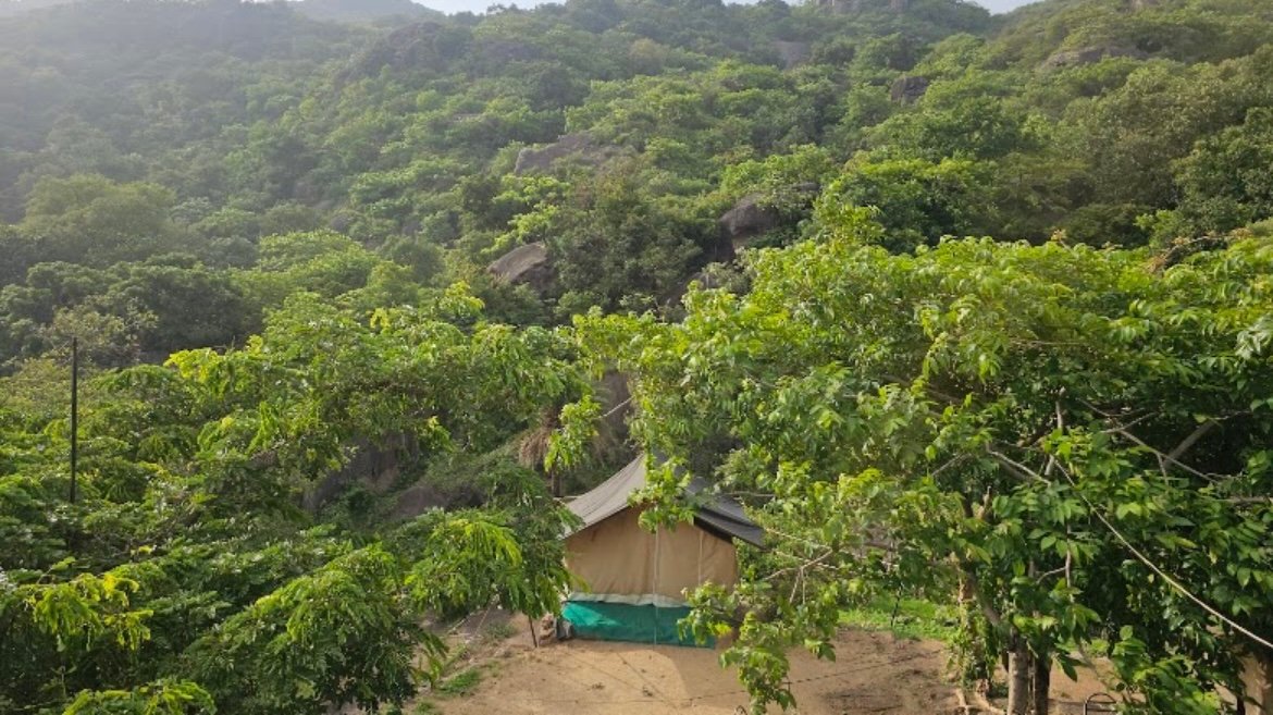 Mount Abu Adventures - trekking & camping tour