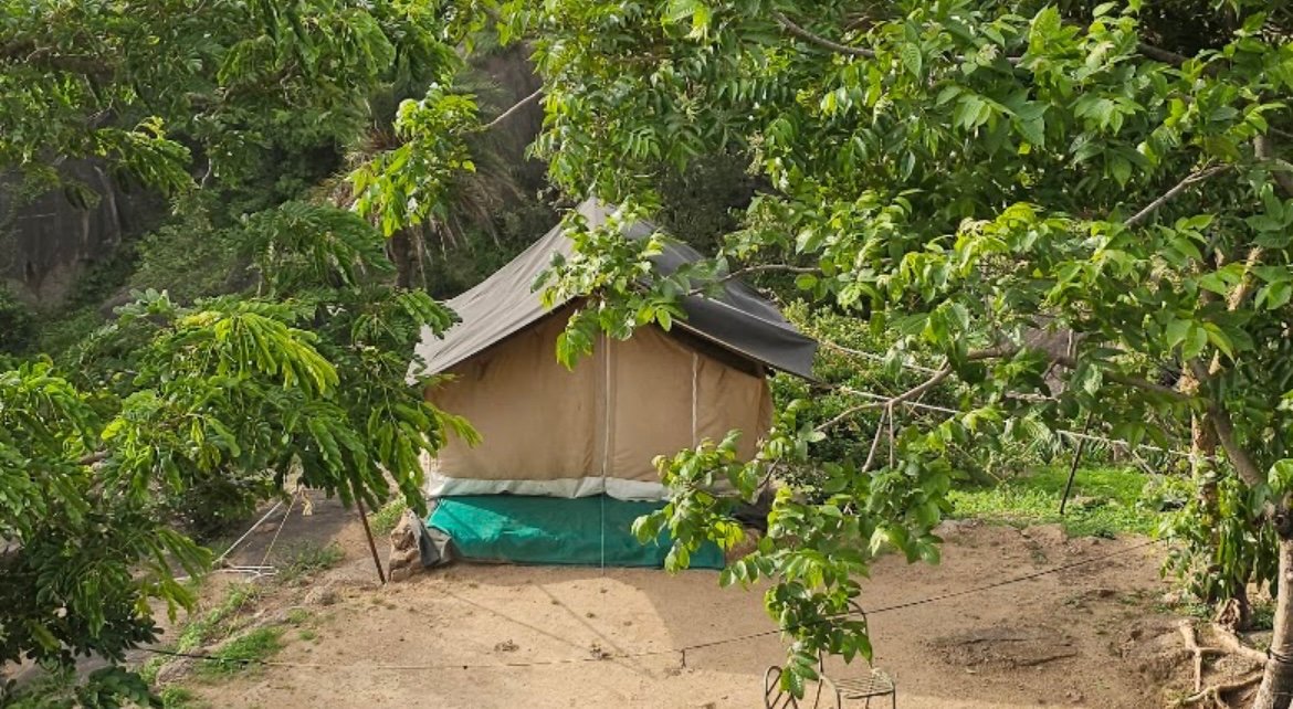 Mount Abu Adventures - trekking & camping tour