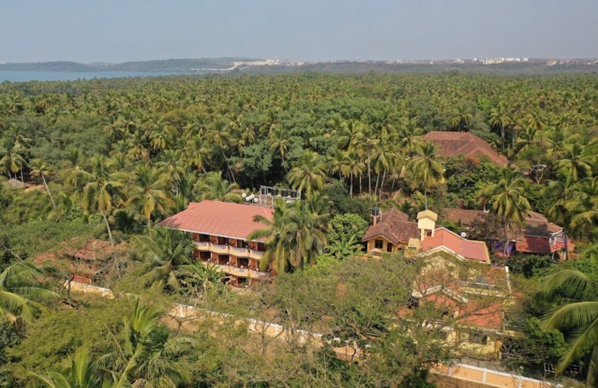 Resort Palmeiras Dourado