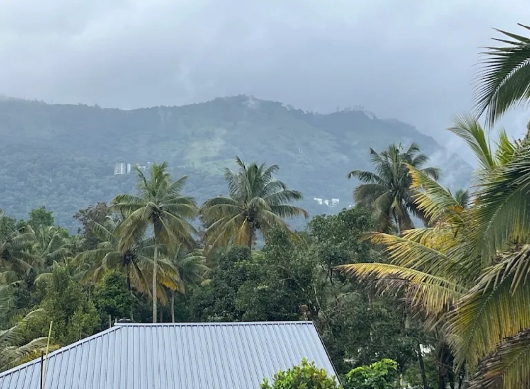 Cozy Nest Homestay in Thokkupara, Kannan Devan Hills, Kerala 685612 - photo 8