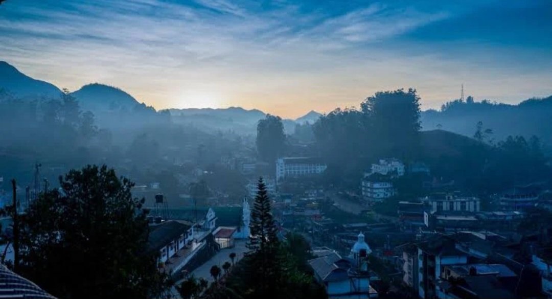Carmel Top Resort in Nullatanni, Munnar, Kerala 685612 - photo 14