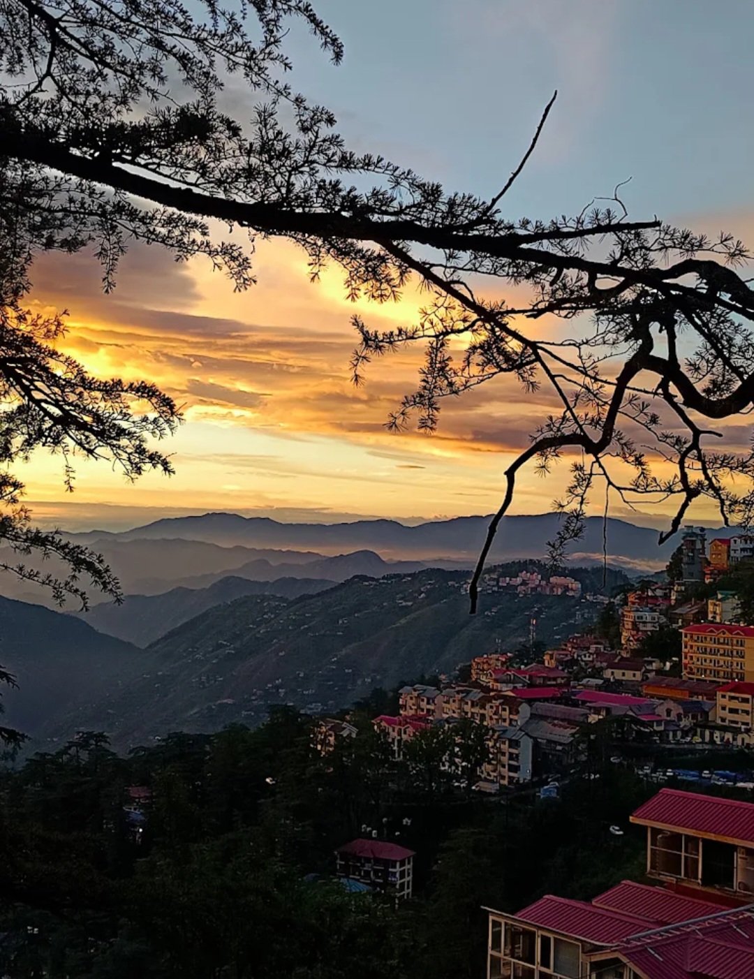 New Mahavir B&b in Victory Tunnel, Shimla, Himachal Pradesh 171003 - photo 13