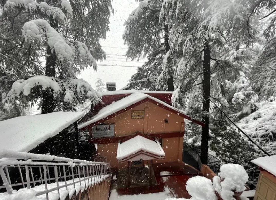 Backwoods B&B Mall Road Shimla in Roshan Niwas, Charlie Villa, Milsington Estate, Chotta Shimla, Shimla, Himachal Pradesh 171002 - photo 15
