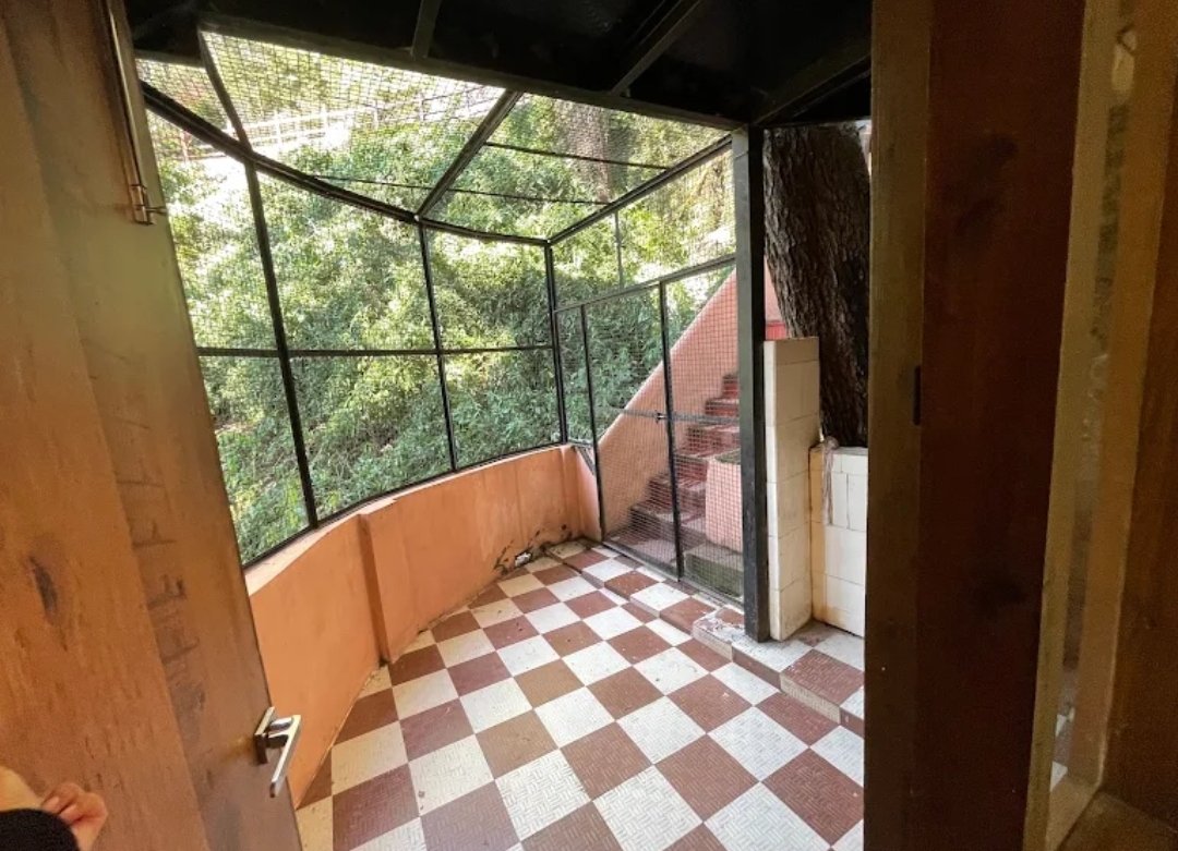 Backwoods B&B Mall Road Shimla in Roshan Niwas, Charlie Villa, Milsington Estate, Chotta Shimla, Shimla, Himachal Pradesh 171002 - photo 6
