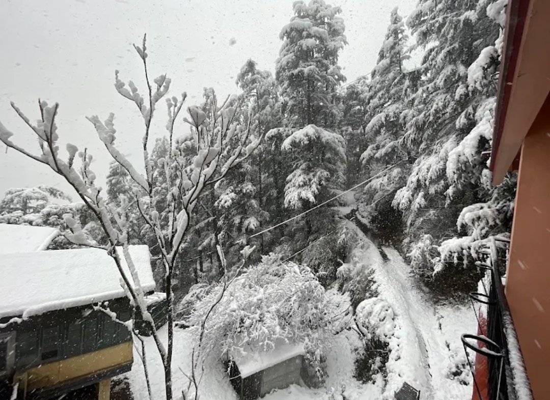 Backwoods B&B Mall Road Shimla in Roshan Niwas, Charlie Villa, Milsington Estate, Chotta Shimla, Shimla, Himachal Pradesh 171002 - photo 7