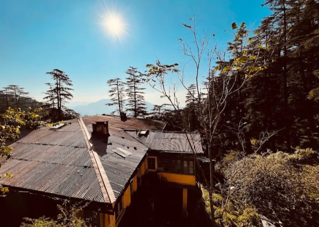 Backwoods B&B Mall Road Shimla in Roshan Niwas, Charlie Villa, Milsington Estate, Chotta Shimla, Shimla, Himachal Pradesh 171002 - photo 8