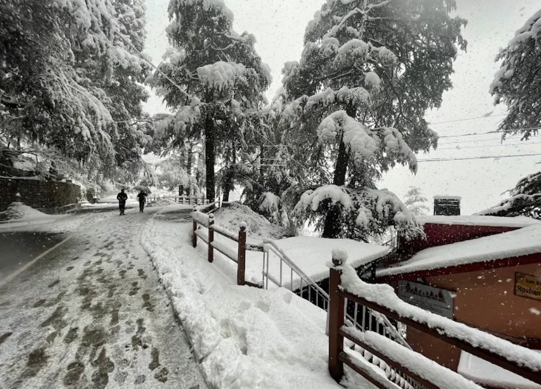 Backwoods B&B Mall Road Shimla in Roshan Niwas, Charlie Villa, Milsington Estate, Chotta Shimla, Shimla, Himachal Pradesh 171002 - photo 11