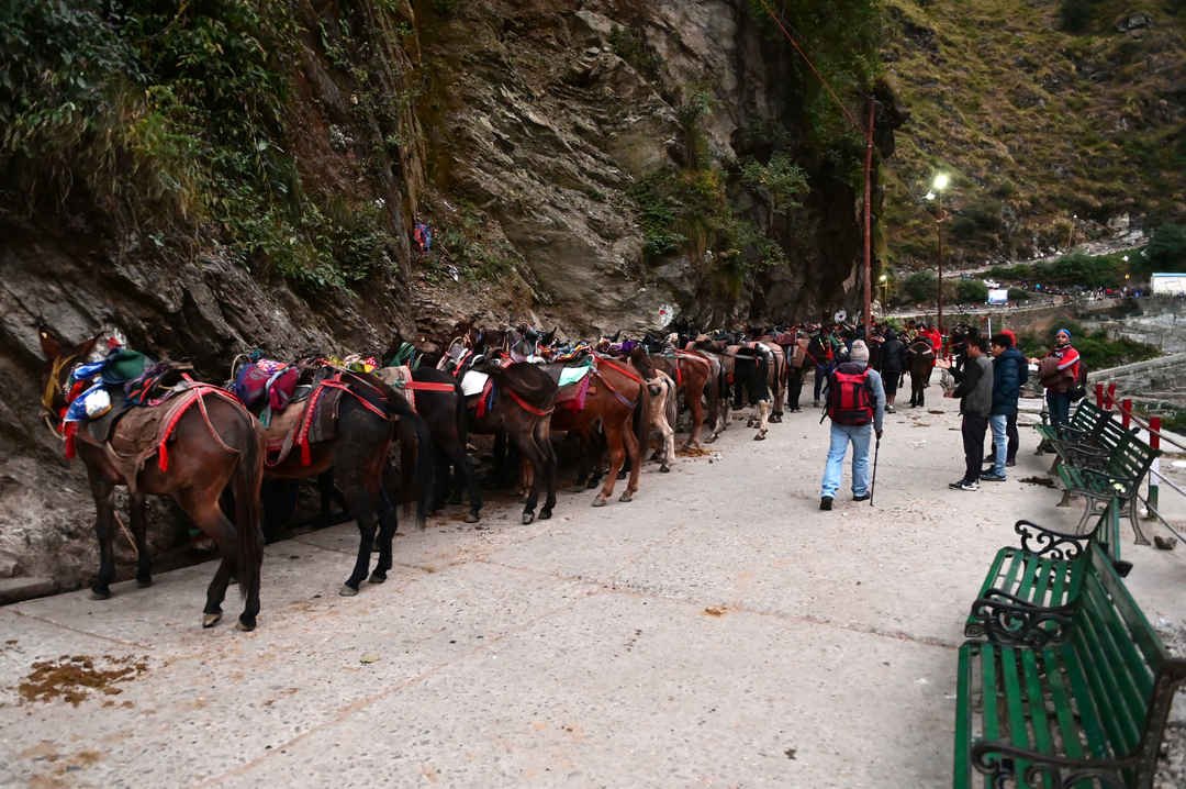 Kedarnath Pony Ride (Gaurikund to Kedarnath)