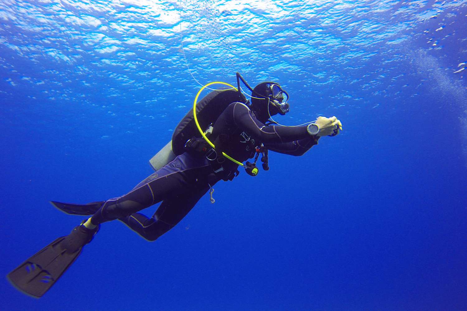 Scuba Diving Experience