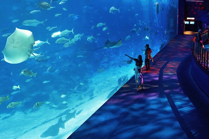 Sentosa Island Attraction (USS or S.E.A. Aquarium)