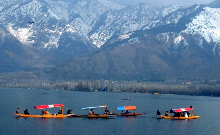 Shikara Ride on Dal Lake, Srinagar