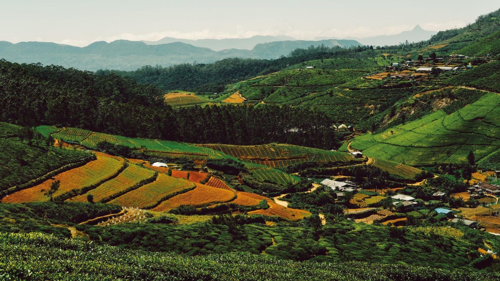 Sri Lanka Tour