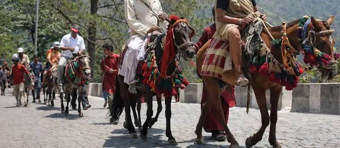 Vaishno Devi Pony Ride (Katra to Bhawan)